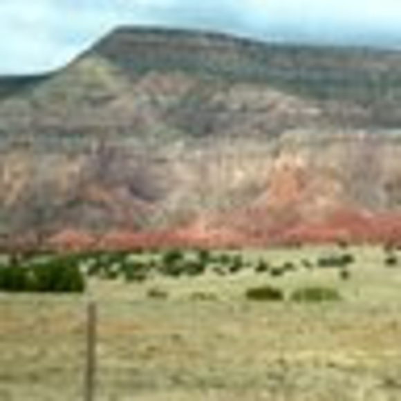 Meet your Posher, Joanna - Picture 1 of 1